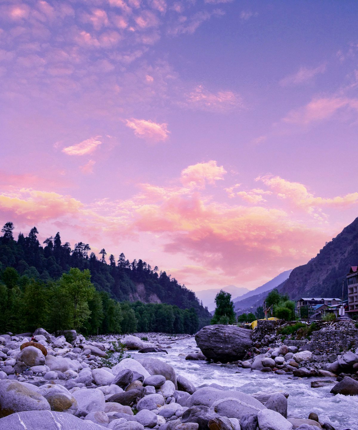 A rocky river and trees in Manali